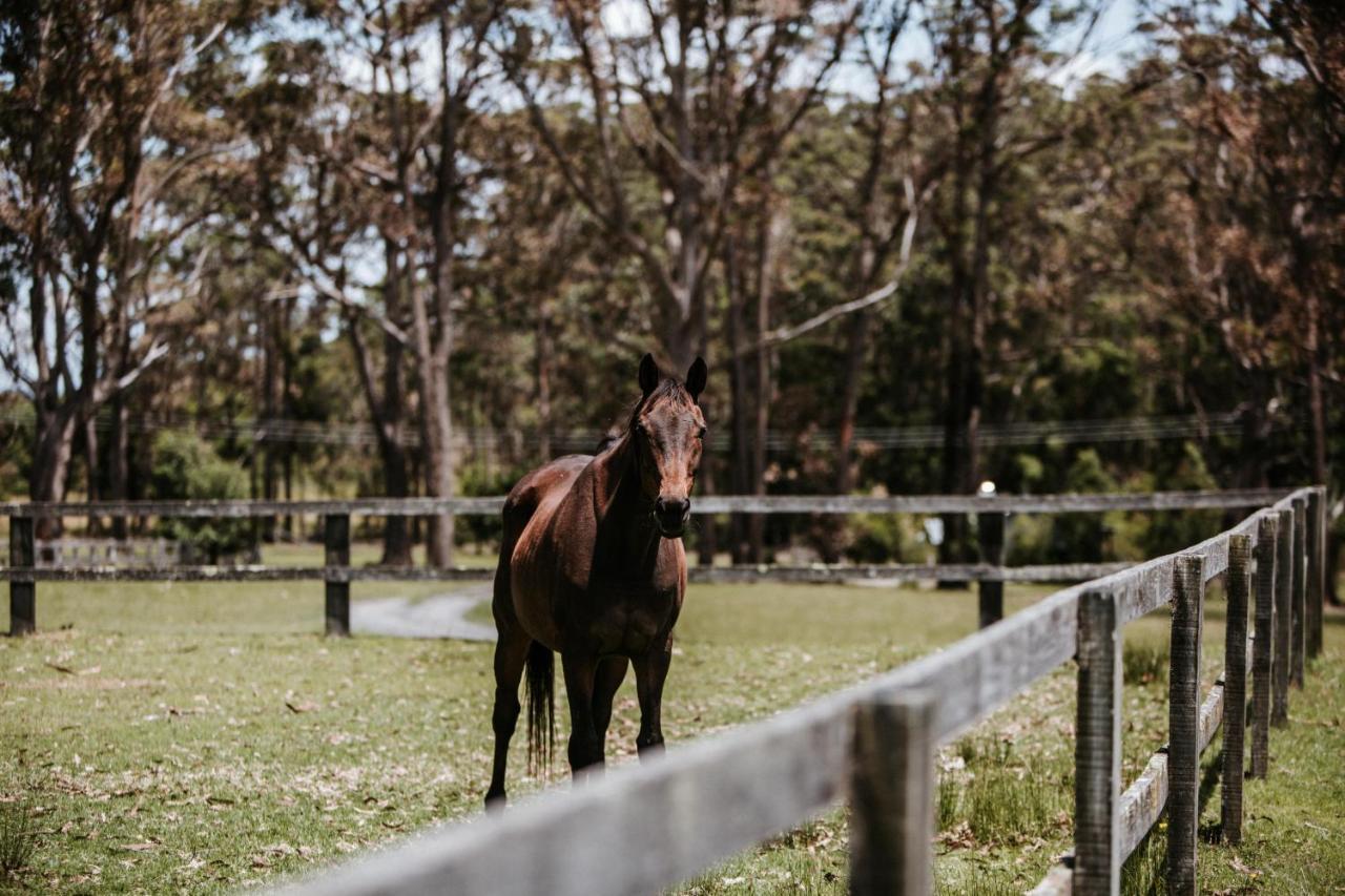 Worrowing Jervis Bay Otel Huskisson Dış mekan fotoğraf