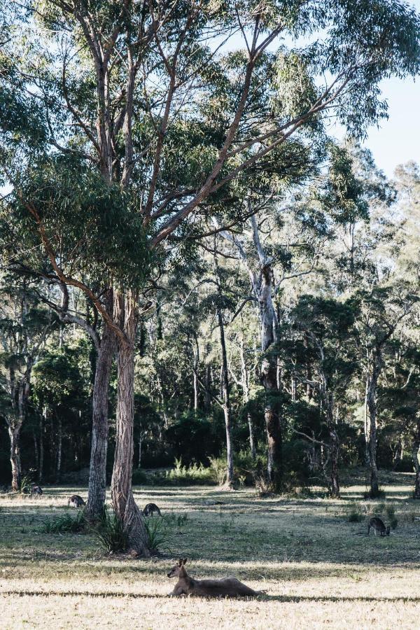 Worrowing Jervis Bay Otel Huskisson Dış mekan fotoğraf
